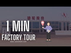 Откройте фабрику автомобильного аккумулятора Азии самую большую свинцовокислотную в как раз 1 минуте