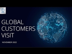 Посещение 2022 клиента группы верблюда глобально